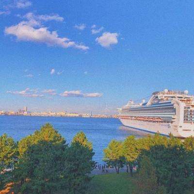 bandao全站体育下载