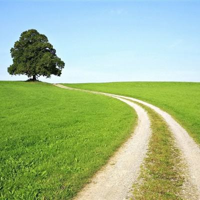 bandao全站体育下载